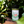 Load image into Gallery viewer, Alpine Touch "Montaña Verde" BBQ Seasoning 5.5oz